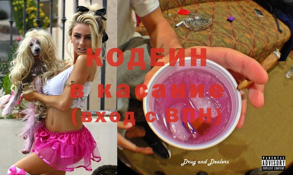 стаф Бородино