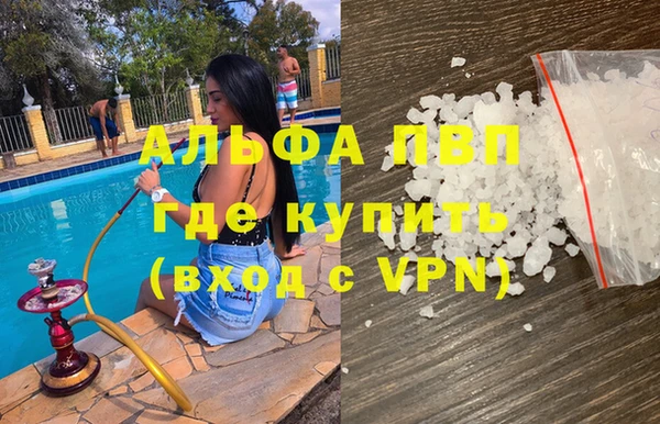 стаф Бородино