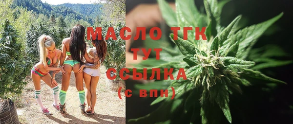 стаф Бородино