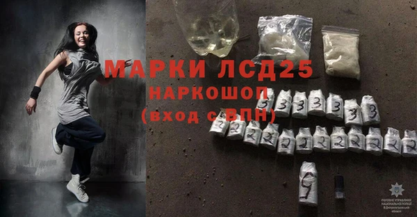 стаф Бородино