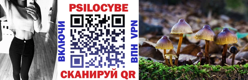 продажа наркотиков  Альметьевск  Псилоцибиновые грибы Cubensis 